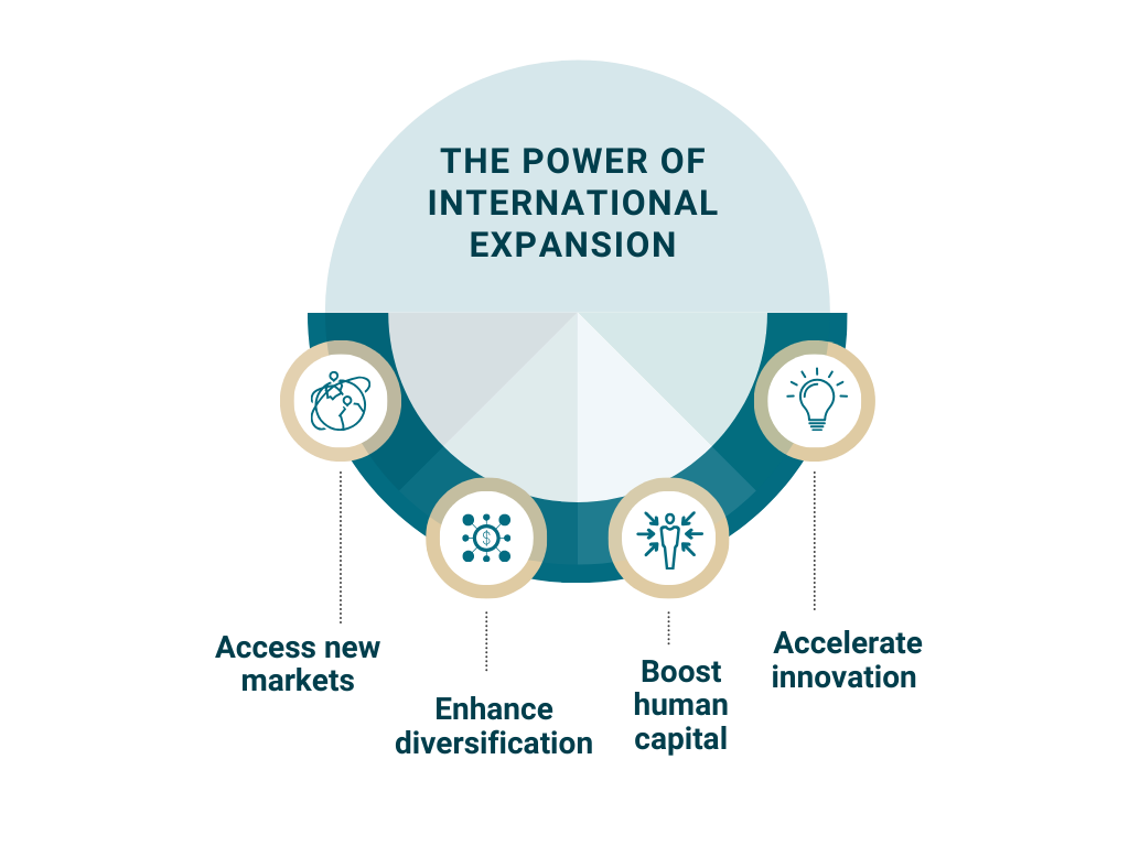 Strategic Internationalization: Navigating Benefits and ...